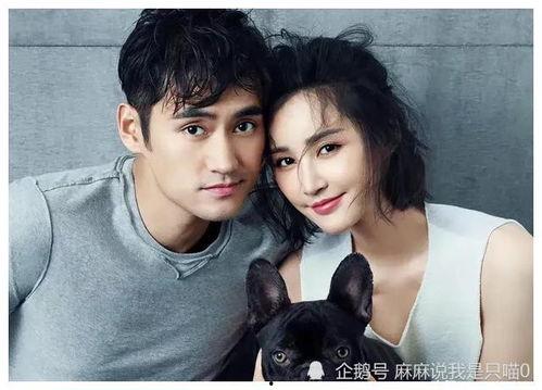 娱乐圈吃瓜大集合是谁,揭秘明星幕后故事 第3张 娱乐圈吃瓜大集合是谁,揭秘明星幕后故事 第3张